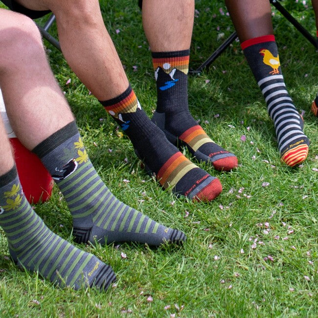 Darn Tough Sunset Ridge Micro Crew Lightweight planinarske čarape s amortizacijom, Charcoal