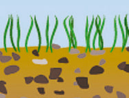 BasicNature Duraluminijski šatorski klinovi 15 cm, 6 kom