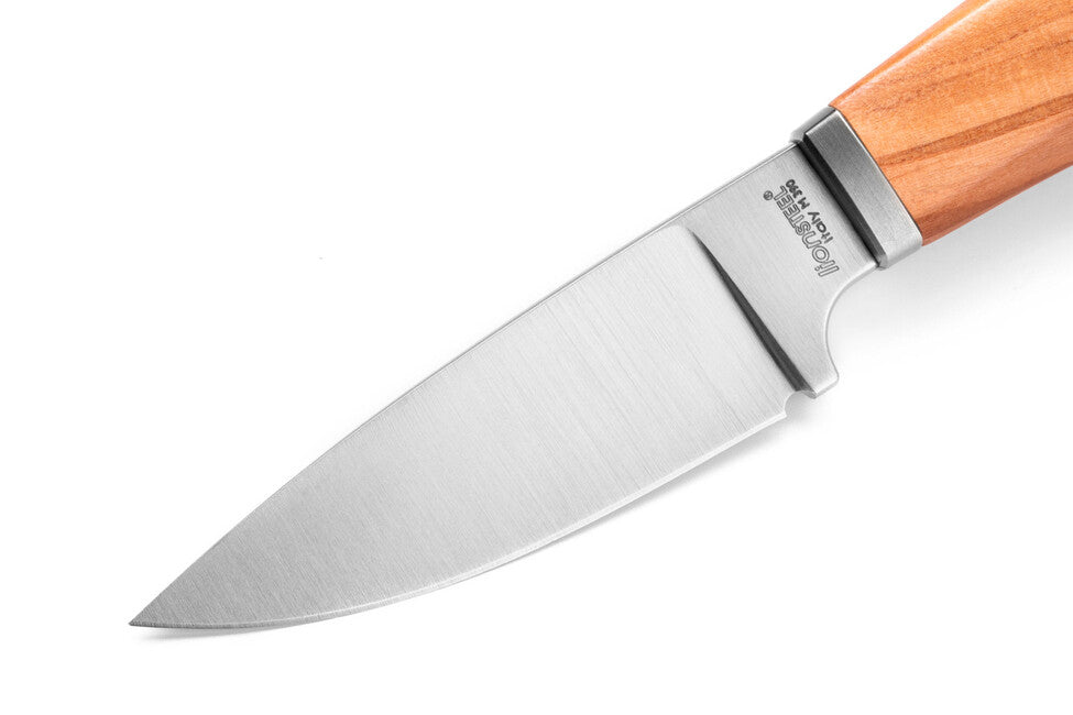 Lionsteel WILLY WL1 UL nož s fiksnom oštricom s ručkom od maslinovog drva