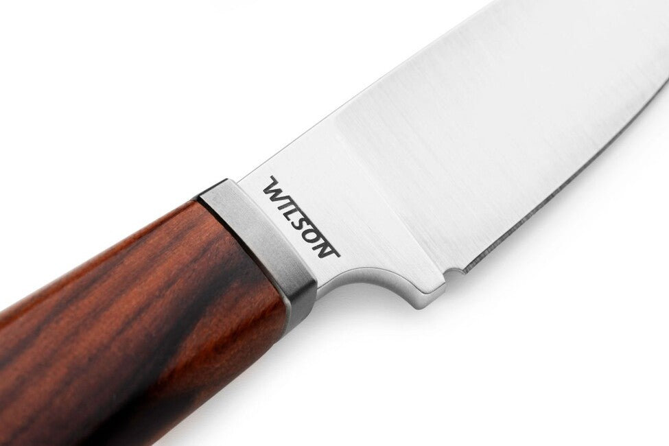 Lionsteel WILLY WL1 nož s fiksnom oštricom i ručkom od drva santos