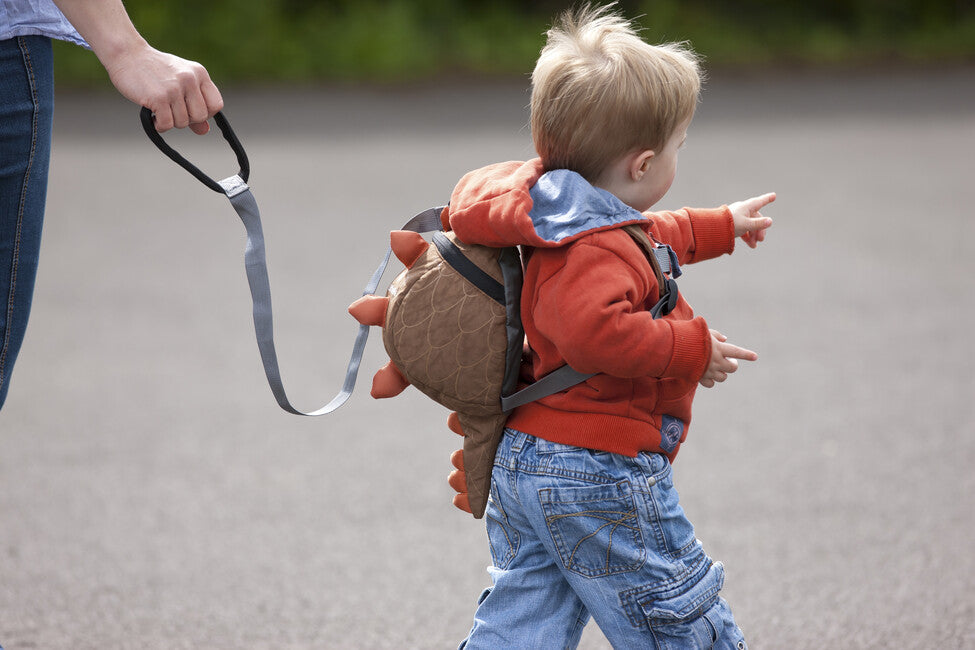 LittleLife povodac za djecu