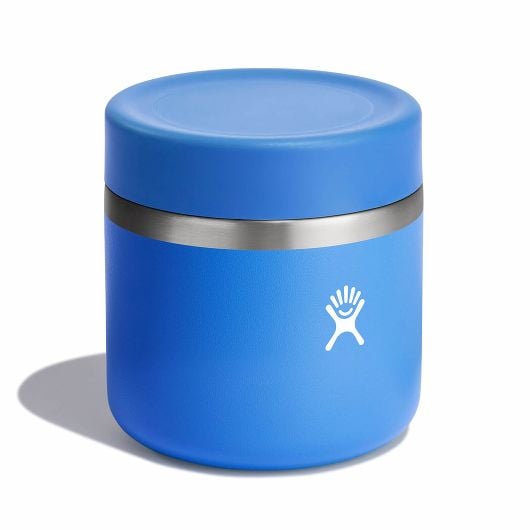 Hydro Flask Insulated Food Jar termosica za hranu 591 ml 20 OZ, cascade