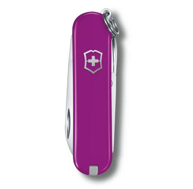 Victorinox Classic SD Colors Tasty Grape multifunkcionalni nož, tamnoljubičasti, 7funkcija