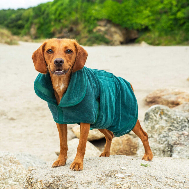 Mountain Paws Dog Robes halat za pse srednji, zeleni