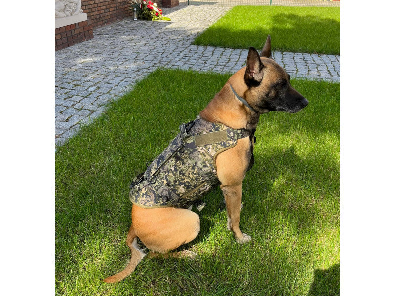 K9 Thorn orma Cordura, L, map