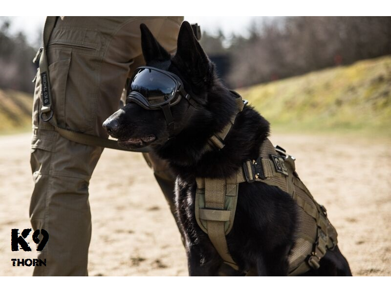 K9 Thorn lagani postroj taktički, crni