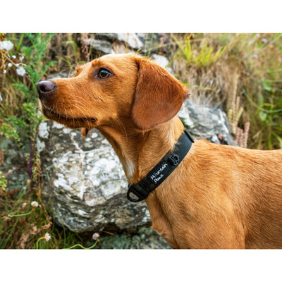 Mountain Paws ogrlica za pse, crna