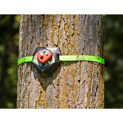 Slackers Ninja Treeclimbers set za penjanje po stablima