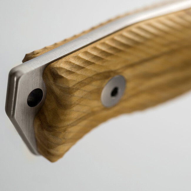 Lionsteel M5 UL srednje dugačak bodež s ručkom od maslinovog drva