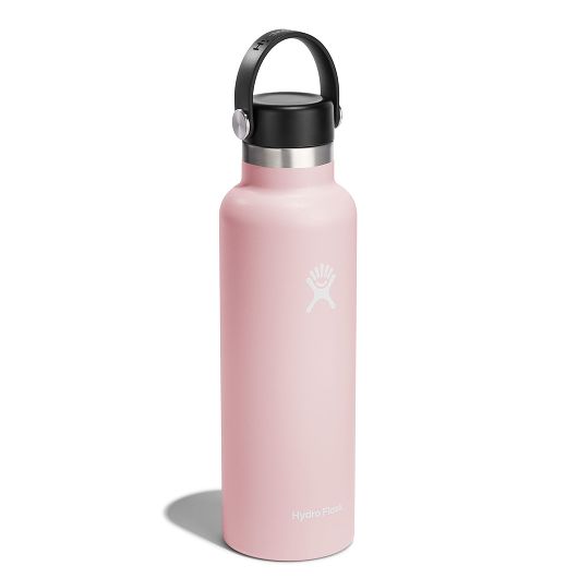 Hydro Flask Standard Flex Cap termoboca 621 ml OZ, trillium
