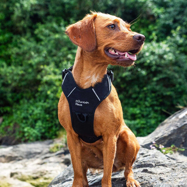 Mountain Paws Dog Harness podstavljeni postroj za pse, crni, mali