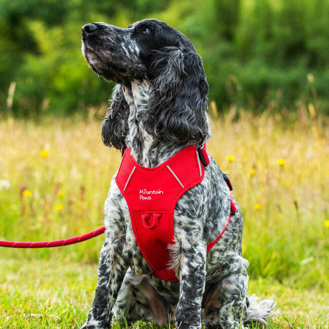 Mountain Paws Dog Harness podstavljena orma za pse, crvena, ekstra velika