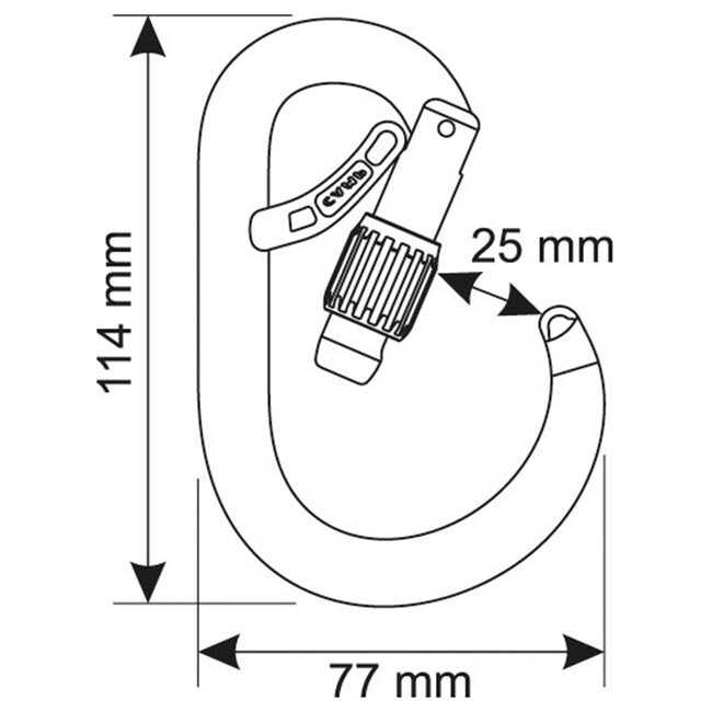 CAMP Core Belay Lock karabiner HMS