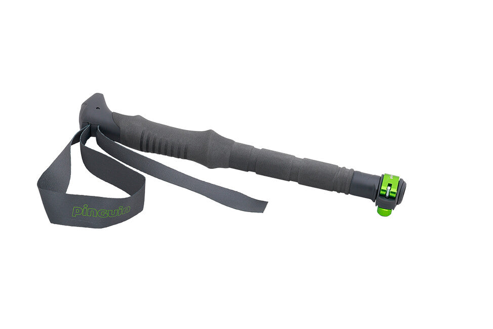 Pinguin Compact FL štapovi za trekking foam, sivi