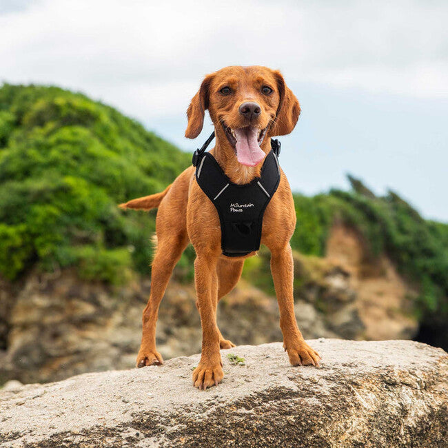 Mountain Paws Dog Harness podstavljena orma za pse ekstra velika, crna