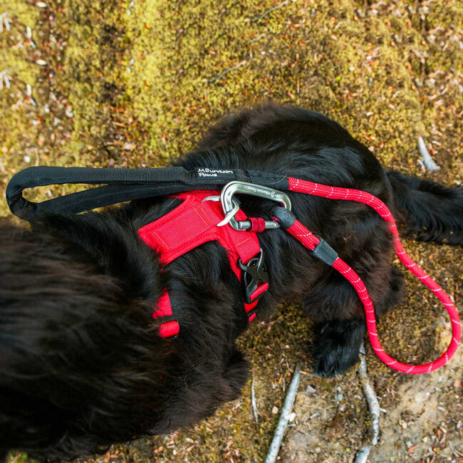 Mountain Paws Dog Harness podstavljeni postroj za pse, crveni, mali