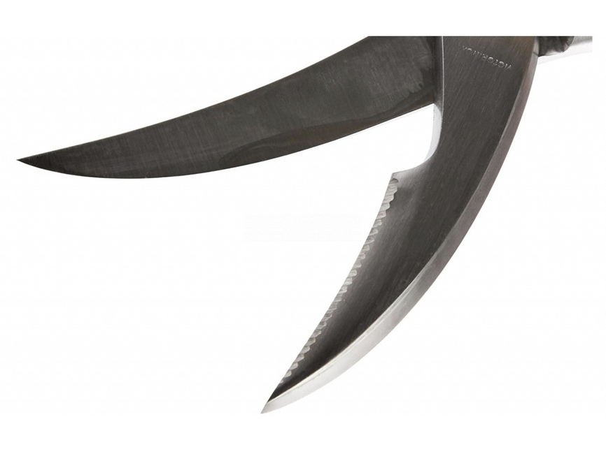 Victorinox potpuno metalne škare za perad