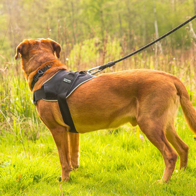 Mountain Paws postroj za psa veliki