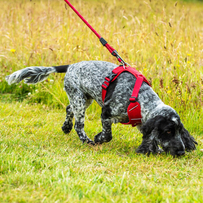 Mountain Paws Dog Harness podstavljena orma za pse, crvena, ekstra velika