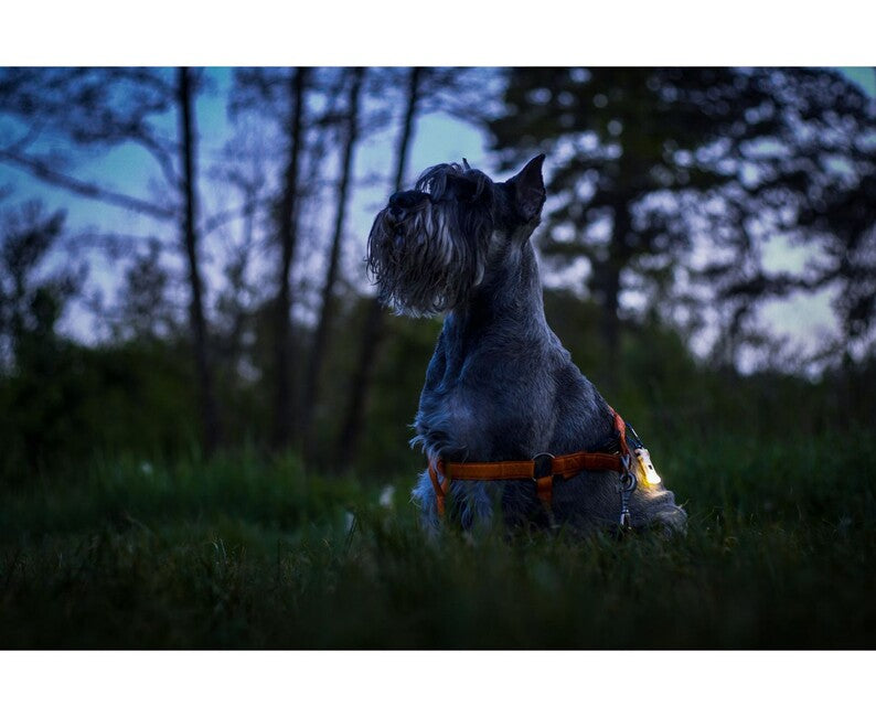 ArmyTek Zippy ES Led set svjetiljke i privjeska za ključeve, plavi
