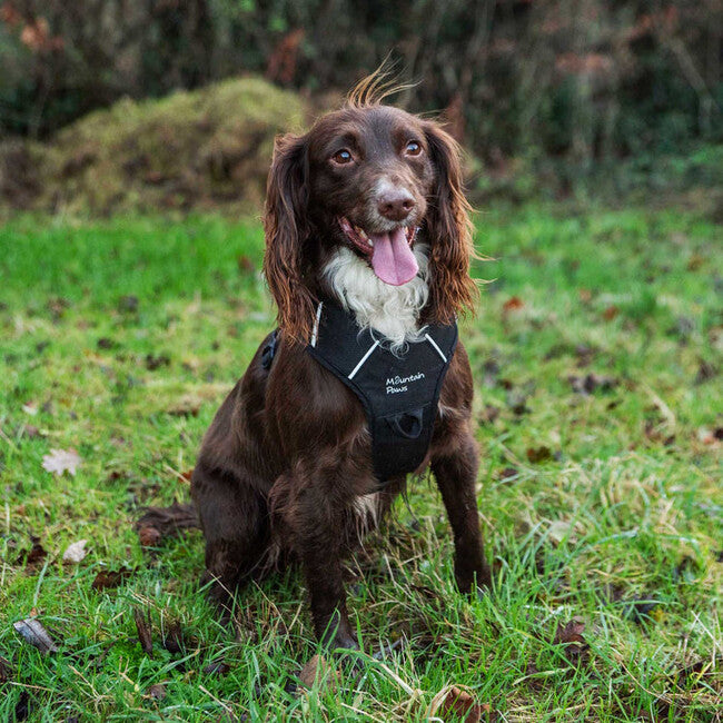 Mountain Paws Dog Harness podstavljeni postroj za pse, crni, mali