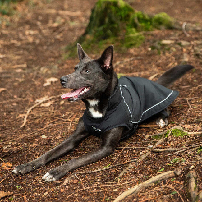 Mountain Paws kabanica za psa, velika