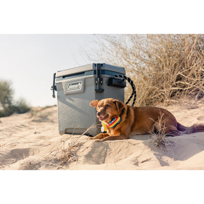 Coleman Convoy hladnjak 28qt 29 L