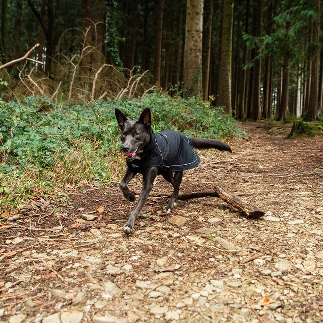 Mountain Paws kabanica za psa, ekstra velika