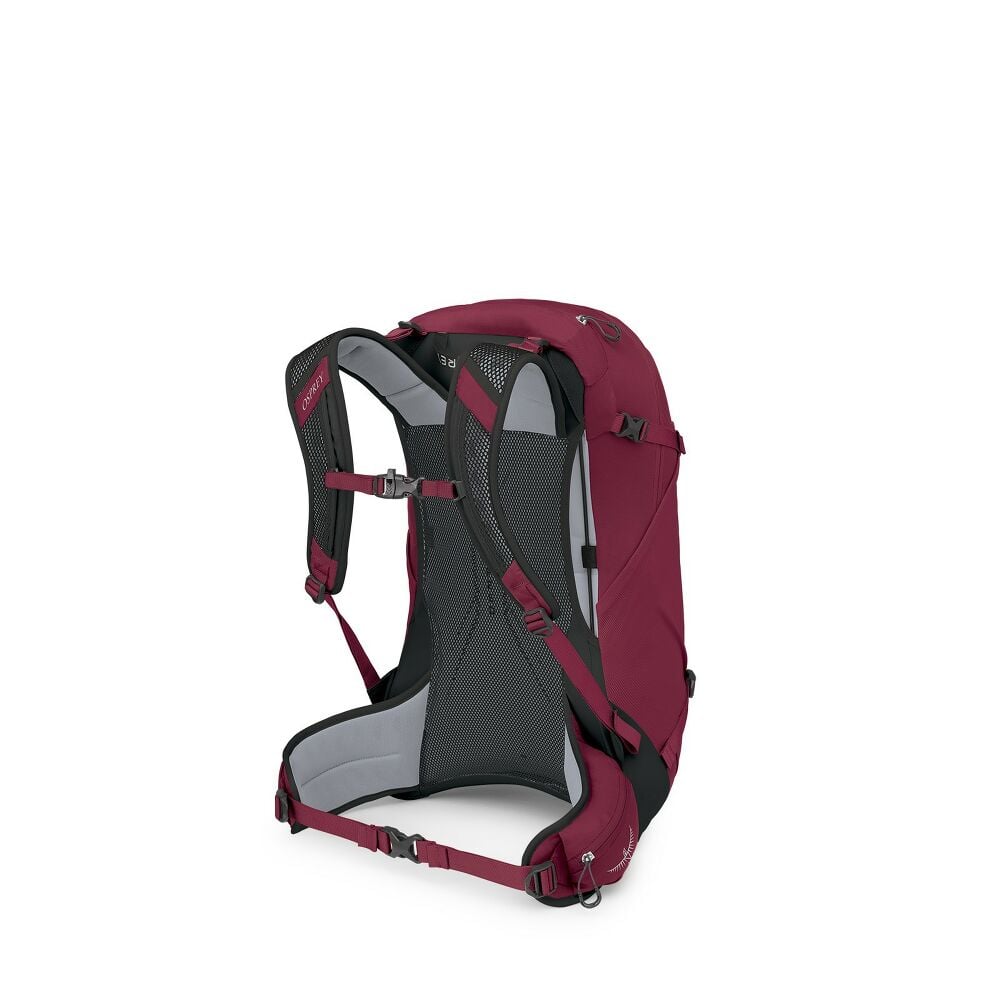 OSPREY HIKELITE 28 turistický batoh, chameleon/black, M/L
