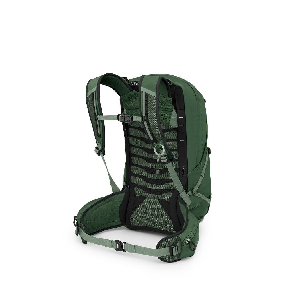 OSPREY TALON 22 turistický batoh, green canopy/pine leaf