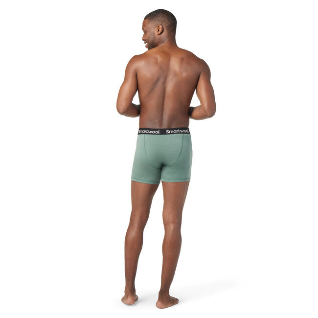 Smartwool M Merino Boxer Brief muške bokserice, sage