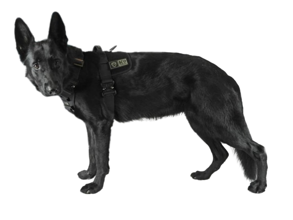 K9 Thorn Delta postroj, crni