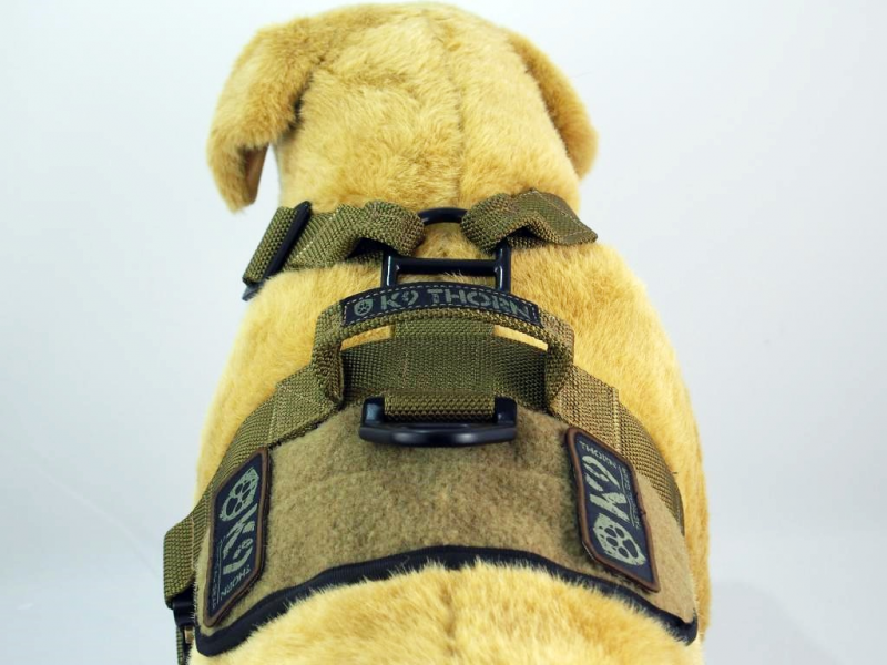 K9 Thorn Delta orma, maslinasto zelena