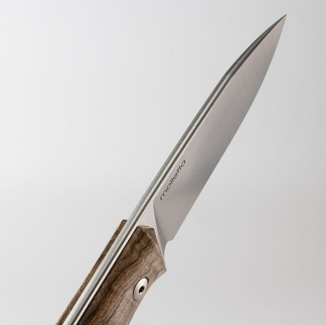 Lionsteel B35 WN nož tipa bushcraft s fiksnom oštricom od čelika Sleipner