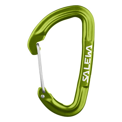 Salewa Hot G3 karabiner, zelen