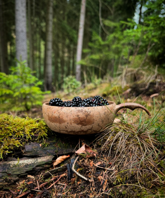 Kupilka 55 zdjela Brown Bowl u pakiranju, smeđa, 550 ml