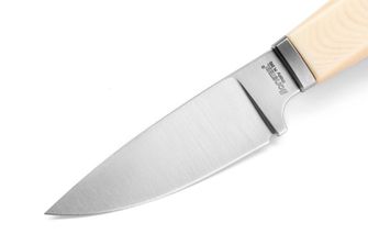 Lionsteel Nož s čvrstim oštricom s ručkom od micarte WILLY WL1 MW