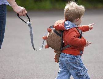 LittleLife Animal Dnevni ruksak za bebe dinosaurus 2 L