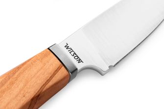Lionsteel Nož s čvrstim oštricom s ručkom od maslinovog drveta WILLY WL1 UL