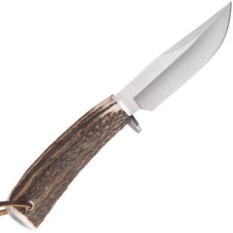 Nož s čvrstim oštricom MUELA BRACO-11A