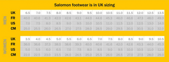 Salomon Quest 4D GTX Forces 2 EN cipele, smeđe škriljasto smeđe